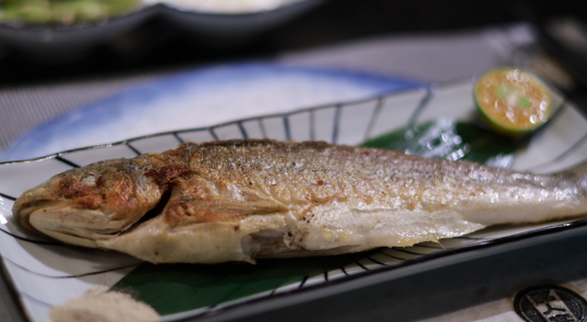 當日基隆漁港的漁獲狀況